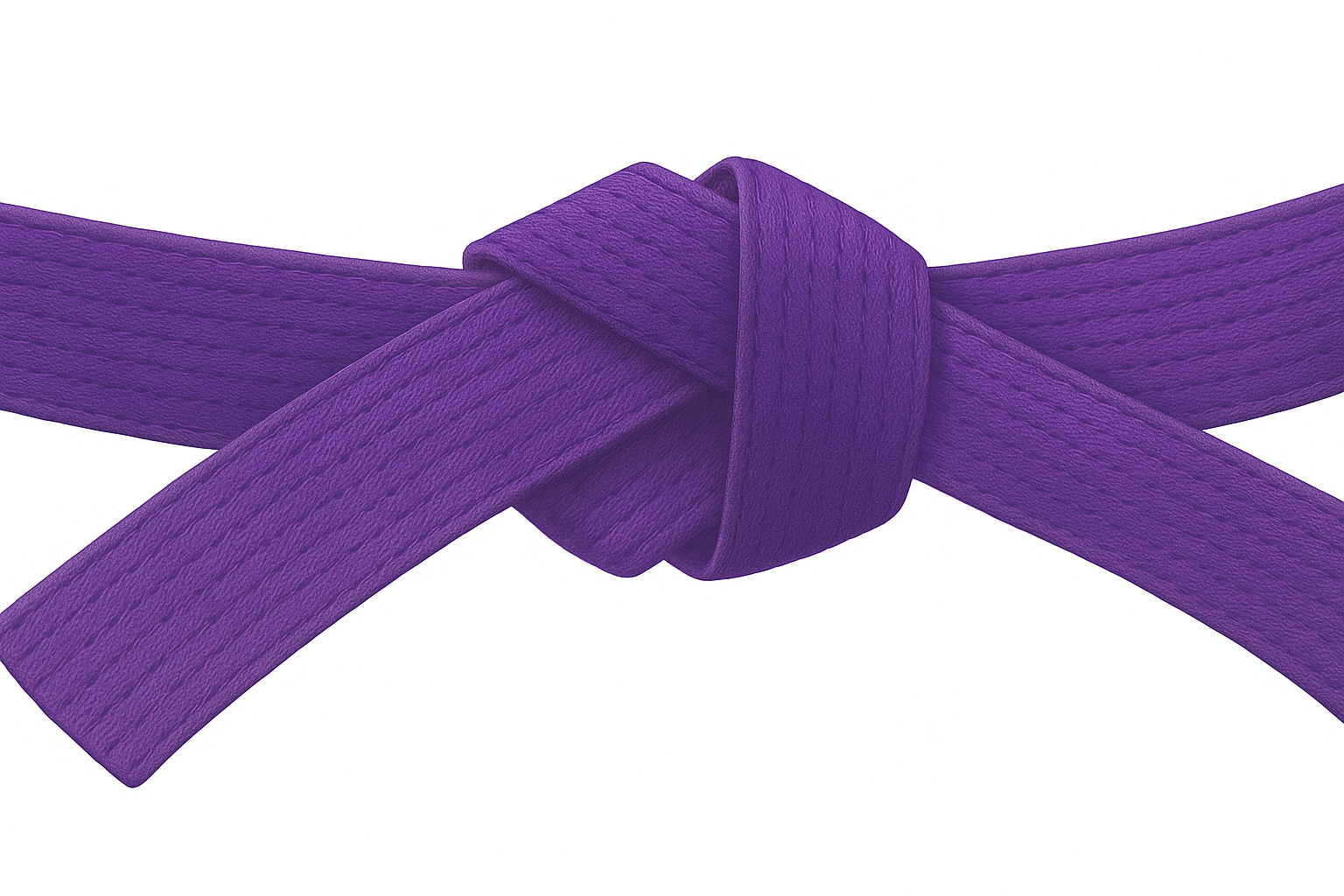 Purple Belt Modern Martial Arts